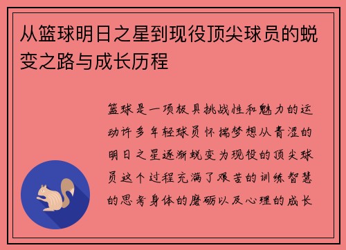 从篮球明日之星到现役顶尖球员的蜕变之路与成长历程