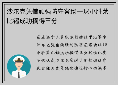 沙尔克凭借顽强防守客场一球小胜莱比锡成功摘得三分